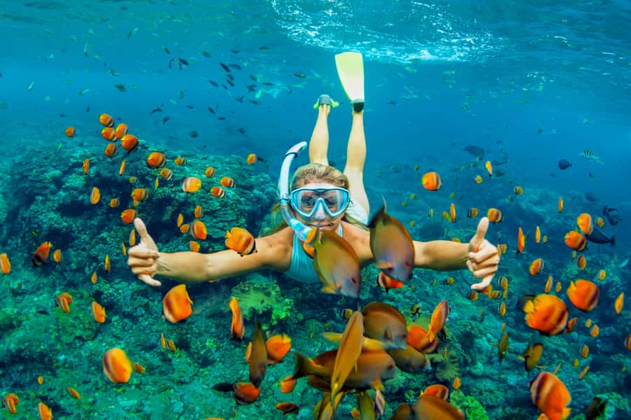 Cartagena: Snorkel, Mangroves and Playa Blanca Tour - Snorkeling at Baru: corals, fish, and the reality check