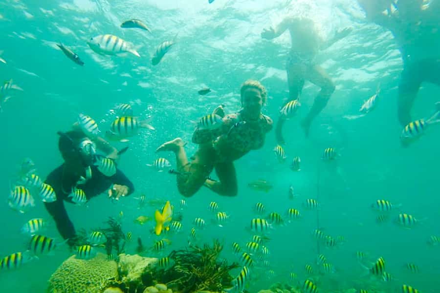 Cartagena: Snorkel, Mangroves and Playa Blanca Tour - Baru breaks and small detours: almond trees, caves, and photos