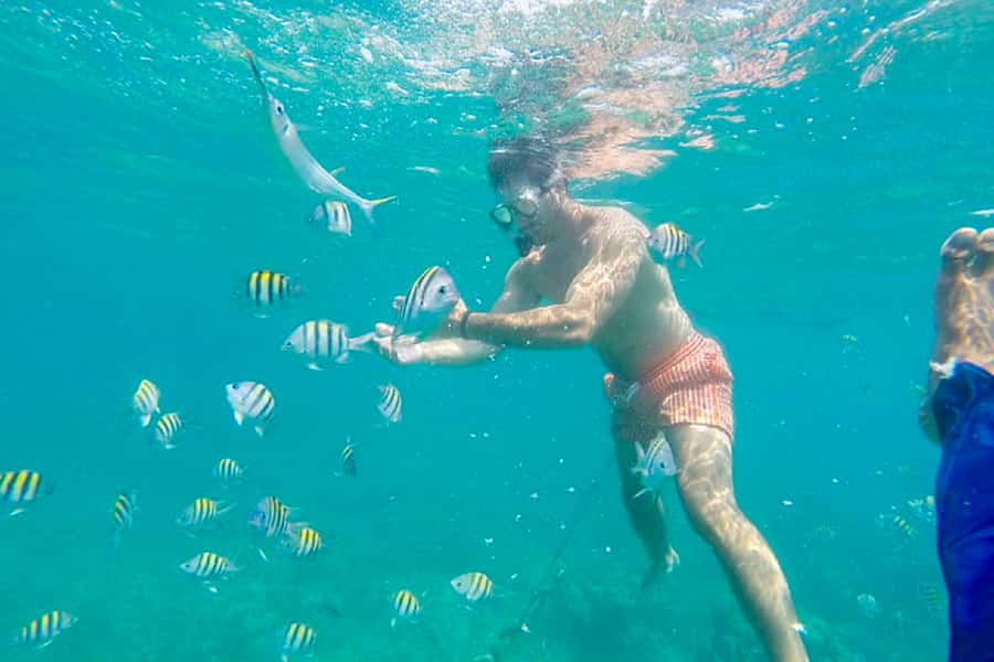 Cartagena: Snorkel, Mangroves and Playa Blanca Tour - Playa Blanca at lunch time: the island payoff