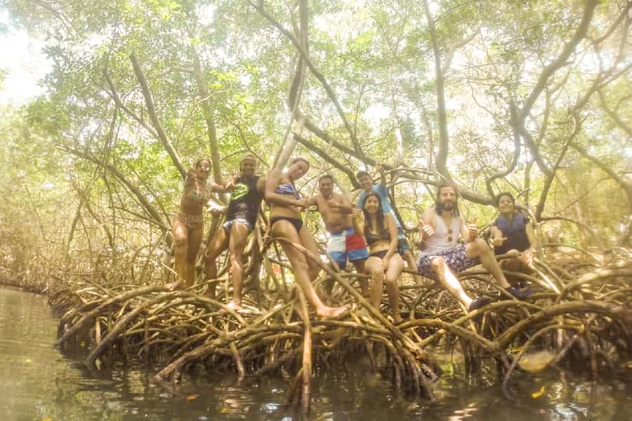 Cartagena: Snorkel, Mangroves and Playa Blanca Tour - The return bus: 3:30 PM back to Cartagena