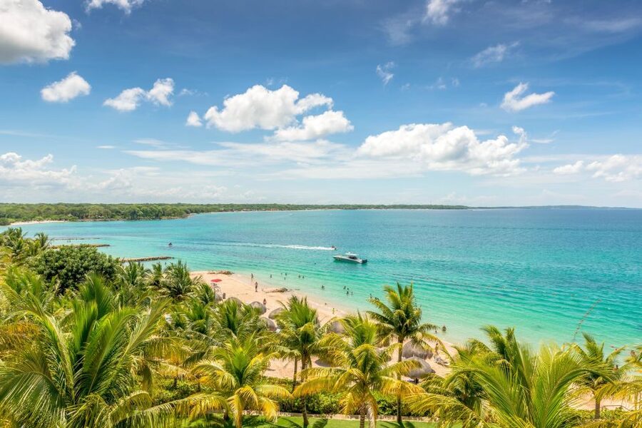 Cartagena: Snorkel, Mangroves and Playa Blanca Tour - Who this tour is best for (and who should rethink it)