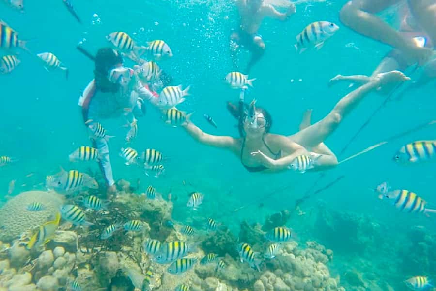 Cartagena: Snorkel, Mangroves and Playa Blanca Tour - The Baru Island boat transfer: short ride, big expectations