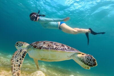 Cas Cay - Kayak Hike and Snorkel Adventure - Kayaking the red mangrove maze: what the lagoon feels like