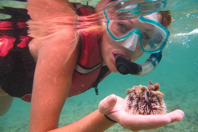 Cas Cay - Kayak Hike and Snorkel Adventure - Equipment, comfort, and the shoes decision you should not wing