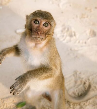 Cat Ba: Lan Ha & Ha Long Bay Kayak & Snorkel Boat Tour - Cruising Lan Ha Bay and Cai Beo floating fishing village