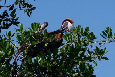 Catalina Island - Snorkeling tour on a luxury catamaran - The Quetzal ride out to Catalina: modern comfort and the small-boat vibe