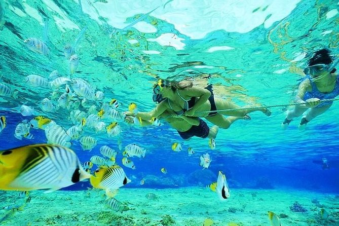 Catamaran Adventure Full Day: Ile aux cerfs,GRSE Waterfall,Snorkeling &BBQ Lunch - Who should book this catamaran adventure (and who should skip)