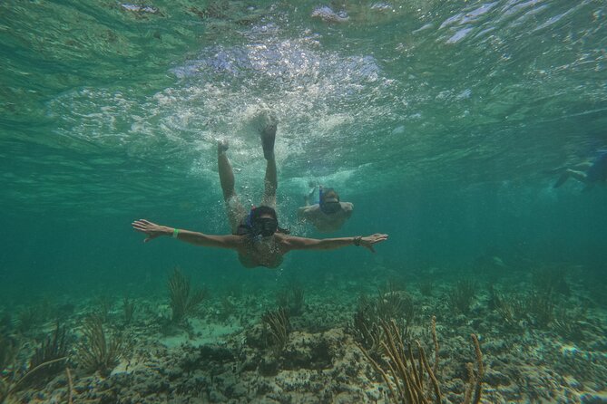 Catamaran Cruise in Riviera Maya With Snorkeling & Beach Club - Should you book this Maroma Adventures catamaran with snorkeling?