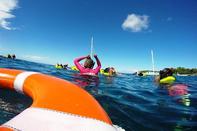 Catamaran Day Trip, Snorkeling & Sailing Excursion - Price and value: is $84 a fair deal?