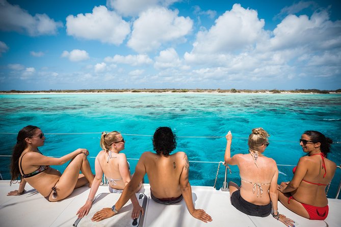 Catamaran Snorkel & BBQ Sail (cruise friendly) - Guided Snorkeling in Bonaire Marine Park: Gear, Safety, and What You’ll Likely See