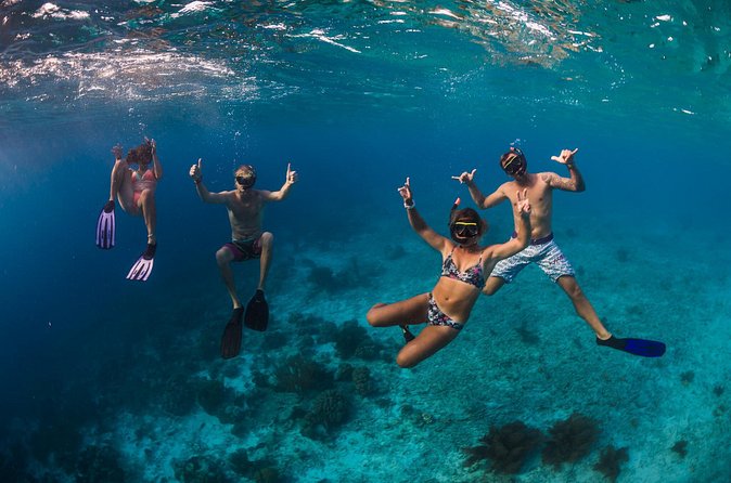 Catamaran Snorkel & BBQ Sail (cruise friendly) - The BBQ Lunch and Open Bar: Real Food at Sea (Not Just a Token Bite)