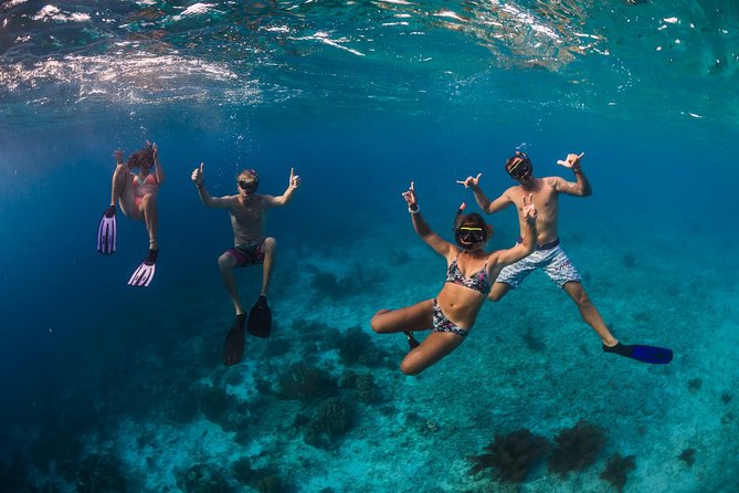 Catamaran Snorkel & BBQ Sail (cruise friendly) - Who This Tour Fits Best (And Who Might Want Another Option)