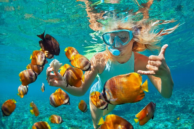 Catamaran Snorkeling All-Inclusive Day-Trip - Key Points Worth Knowing