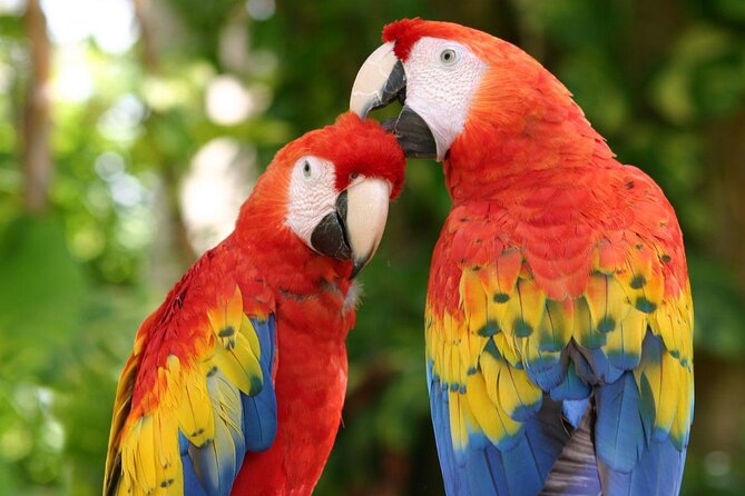 CATAMARAN to Isla Mujeres, Snorkel & Beach Club by Xcaret - Key things that make this trip worth your time