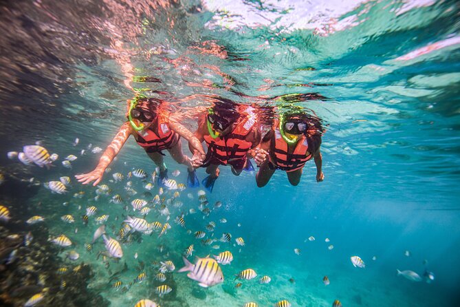 CATAMARAN to Isla Mujeres, Snorkel & Beach Club by Xcaret - Check-in and the dock fee: what to know so you don’t waste time