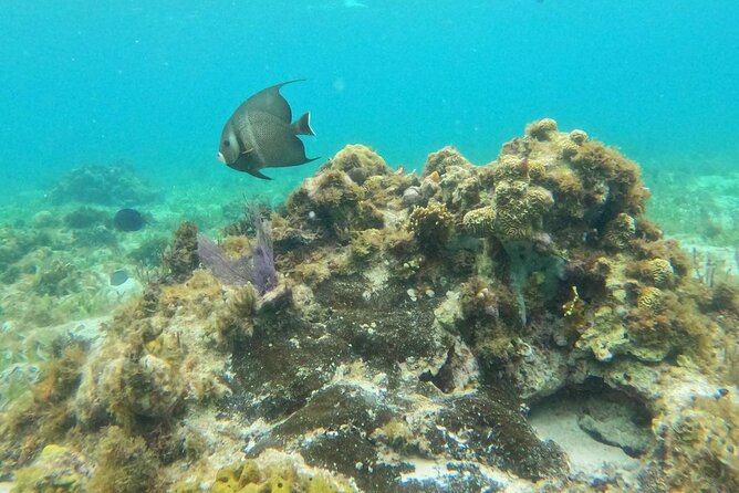Catamaran with Snorkeling and North Beach, Isla Mujeres - Price and Value: Why $49 Can Still Feel Like a Full Day