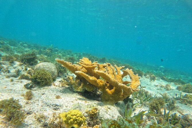 Catamaran with Snorkeling and North Beach, Isla Mujeres - The Small-Group Advantage—and the One Logistics Risk
