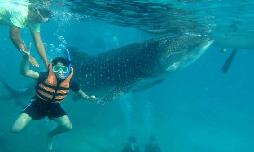 Cebu: Oslob Whale Sharks, Tumalog Falls & Sardine Snorkeling - Tumalog Falls: tiers, cool water, and a chance to reset