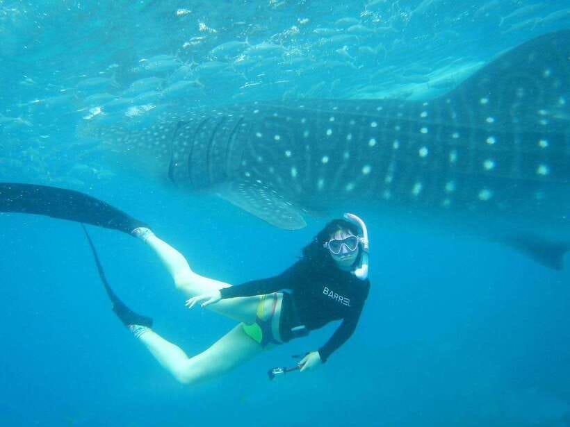 Cebu: Oslob Whale Sharks, Tumalog Falls & Sardine Snorkeling - Riding south: the drive from Cebu to Oslob