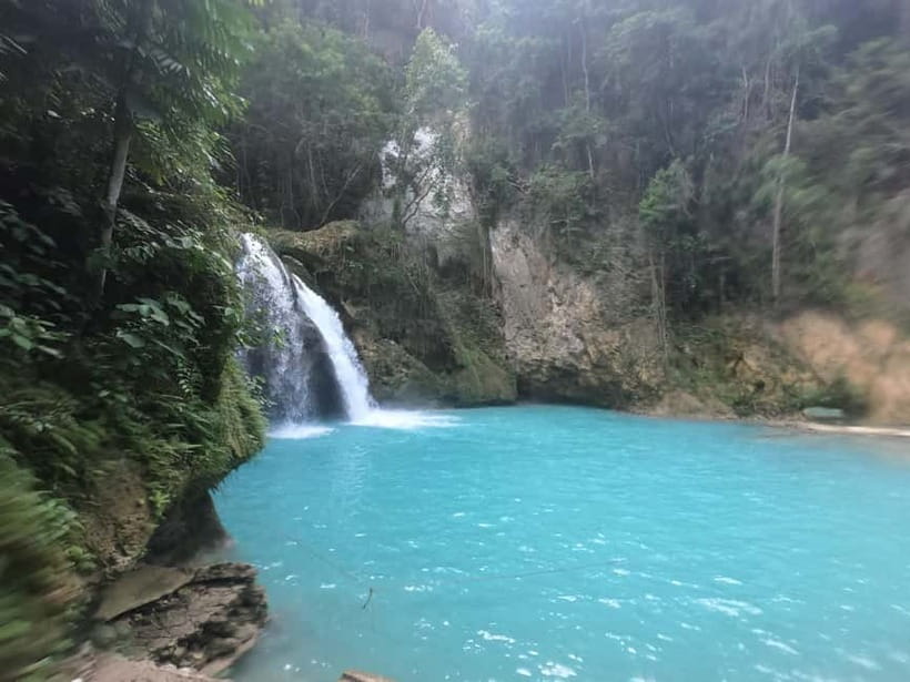 Cebu: Whale Sharks, Kawasan Falls, & Sardines Run Snorkeling - Moalboal Sardines Run and Sea Turtle Snorkeling: What Makes It Special