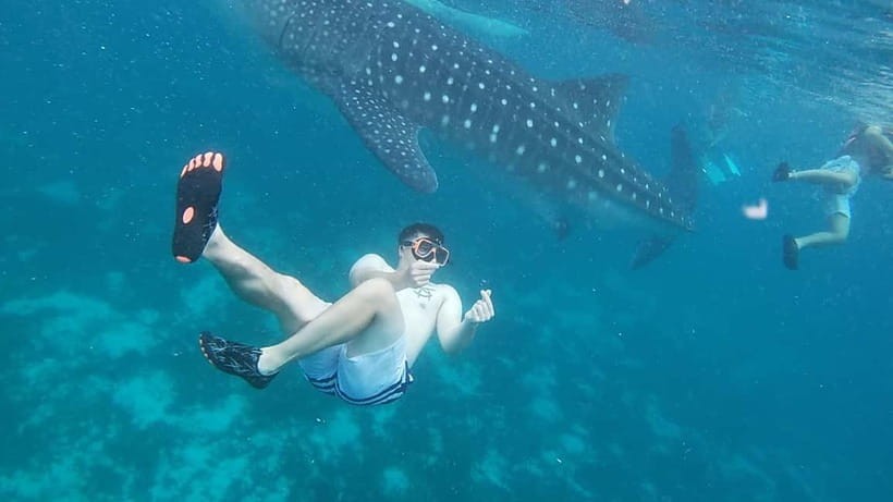 Cebu: Whale Sharks, Kawasan Falls, & Sardines Run Snorkeling - Kawasan Falls in Badian: The Jungle Trek to Turquoise Cascades