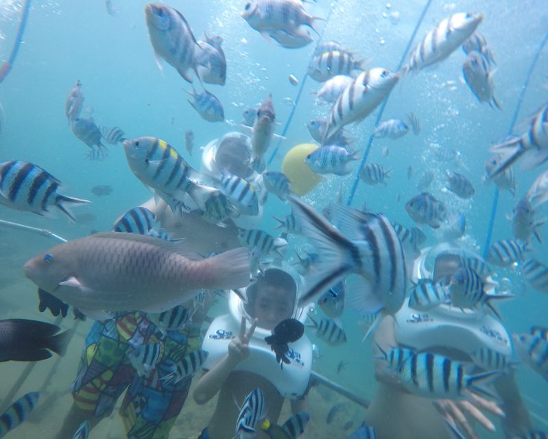 Cham Island: Underwater Walking & Snorkeling Tour - Key highlights worth your attention