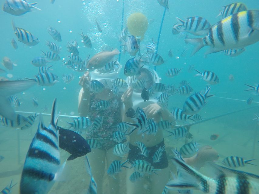 Cham Island: Underwater Walking & Snorkeling Tour - Underwater walking with the breathing helmet: the main event, explained clearly