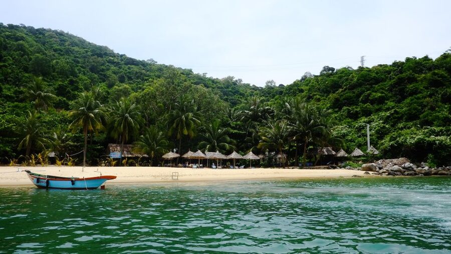 Cham Island: Underwater Walking & Snorkeling Tour - Hand-feeding fish on the ocean floor: fun, fast, and follow-the-rules