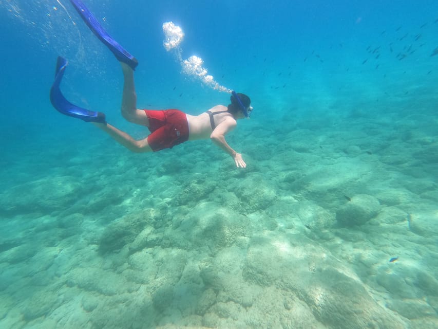 Chania: Boat Trip with Guided Snorkeling Tour - Key Highlights You’ll Care About