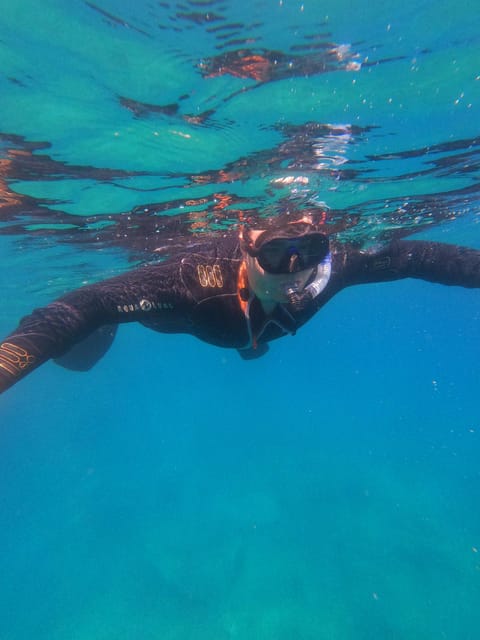 Chania: Boat Trip with Guided Snorkeling Tour - What You’ll Actually See Underwater