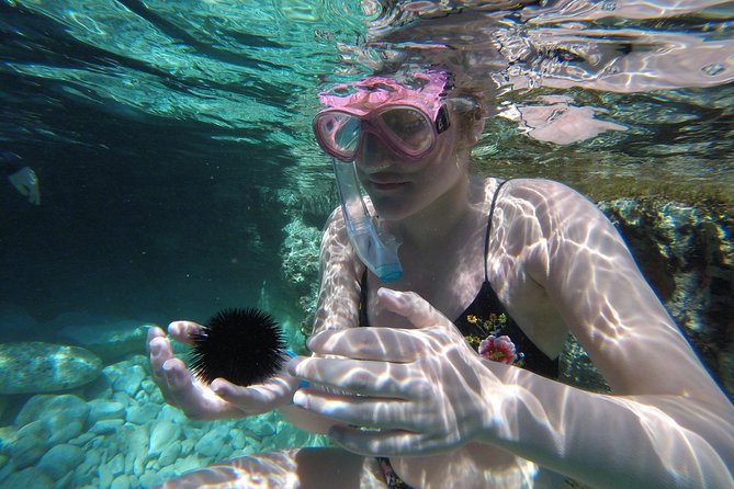 Chania: Boat Trip with Guided Snorkeling Tour & SUP - The underwater stops: caves, reefs, and setting realistic fish expectations