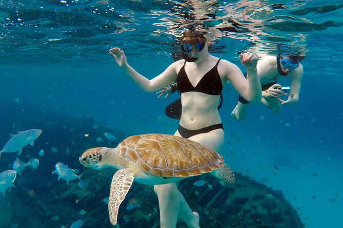 Che’s snorkel cruise! turtles & shipwrecks (semi private) - What you get for $75: value comes from time and gear