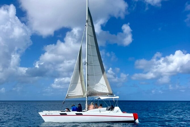 Che’s snorkel cruise! turtles & shipwrecks (semi private) - Pebbles Beach area logistics: meeting up and getting back
