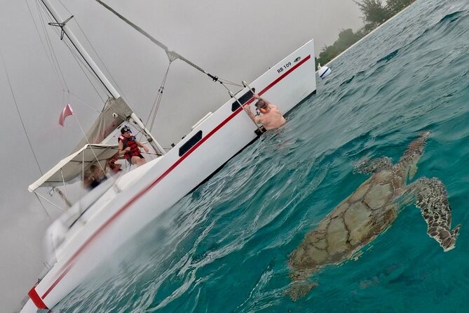 Che’s snorkel cruise! turtles & shipwrecks (semi private) - Who this snorkel cruise fits best (and who should skip it)