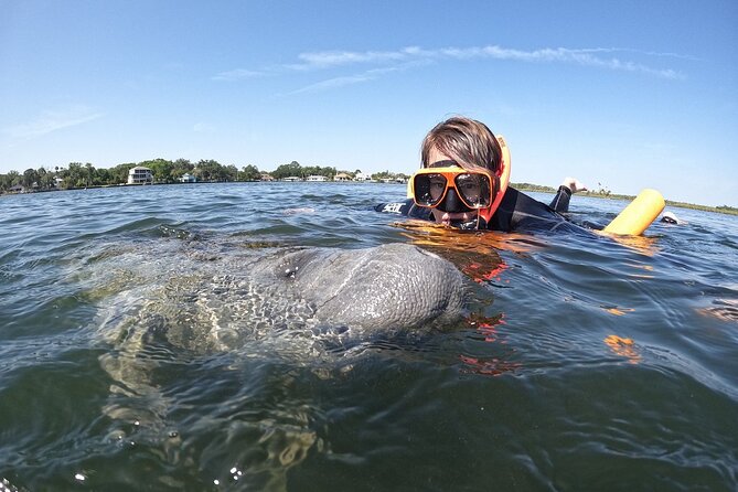 Classic Crystal River Manatee Swim Tour with Free Photos - Snorkeling alongside manatees: safety rules that keep things respectful
