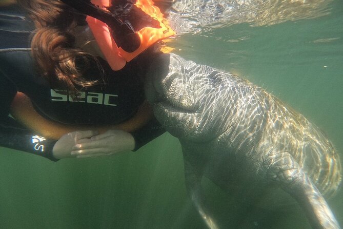 Classic Crystal River Manatee Swim Tour with Free Photos - Timing, duration, and what “3 hours” really means