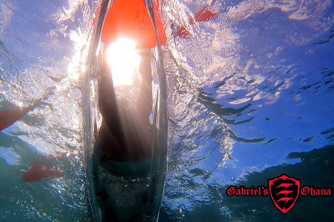 Clear Kayak Tour with Pontoons and Optional Snorkeling-Unlimited - Key things that make this tour worth it