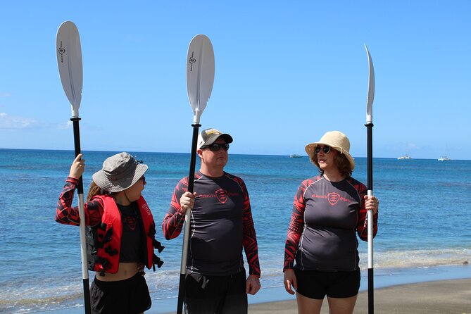 Clear Kayak Tour with Pontoons and Optional Snorkeling-Unlimited - Wildlife You Might See Under the Clear Bottom