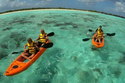 Clearbottom Mangrove Kayak & Snorkel tour - Paddling in a sit-on-top clear-bottom kayak: what that gear really means