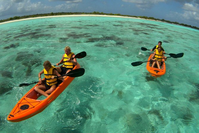 Clearbottom Mangrove Kayak & Snorkel tour - Paddling in a sit-on-top clear-bottom kayak: what that gear really means