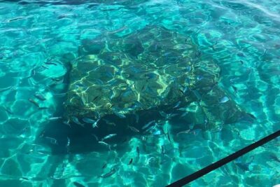 Coast of the Gods snorkeling tour: the best you can find. - Meeting at Capo Vaticano: where to start and how to show up ready