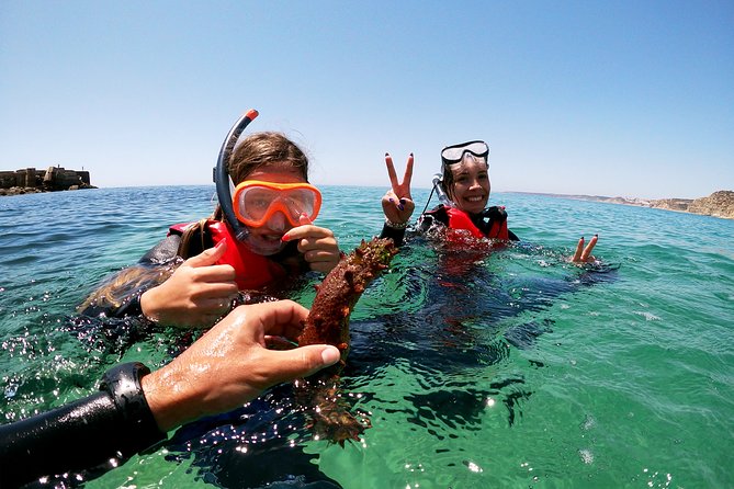 Coasteering Adventure with Snorkeling - The Vicentine Coast Setting: Why This Part of Algarve Feels Different