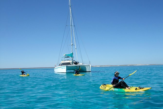 Coral Bay: 2-Hour Coral Viewing and Snorkeling - The Cruise Part: What the Glass-Bottom Boat Actually Adds