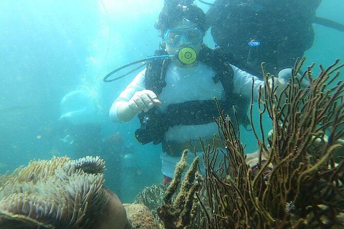 Coral Reef Snorkeling and Floating Bar Party from Nha Trang - A party-boat day that still gives you real sea time
