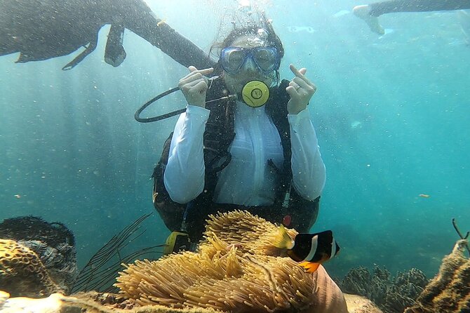Coral Reef Snorkeling and Floating Bar Party from Nha Trang - Stop 5: the return with a tea break and sunset on the water