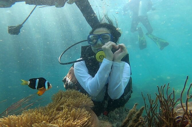 Coral Reef Snorkeling and Floating Bar Party from Nha Trang - Price and what you actually get for $29.68