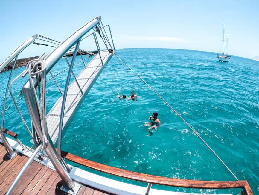 Corralejo: Snorkeling on Lobos Island & Return Ferry Ticket - Isla de Lobos in One Day: Why This Ferry + Snorkel Plan Works