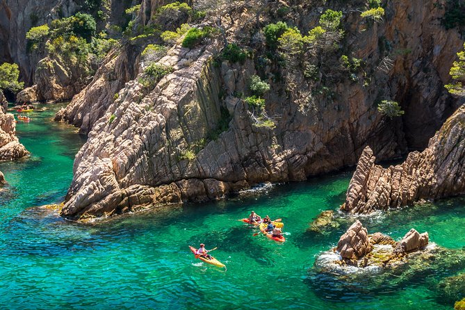 Costa Brava Kayaking and Snorkeling Small Group Tour with Lunch - Snorkeling Gear, Sea Life, and the Fins Question