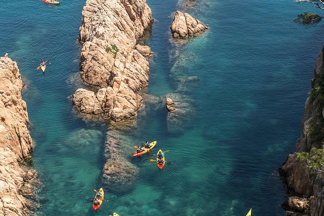 Costa Brava Kayaking and Snorkeling Small Group Tour with Lunch - The Kayak Time: Technique Coaching and Scenic Stops