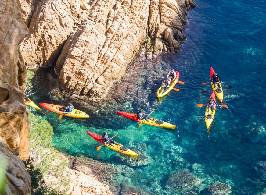 Costa Brava: Sea Caves Kayaking and Snorkeling Tour - Snorkeling Stop: Clear Water, Sea Life, and a Real Sense of Scale